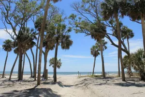 Image of Tuanis Cottage Close to Military Bases, Beaches & Golf.