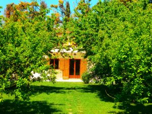 Image of Seasonal rental in the countryside, 5 min from all shops 10 min from Isle sur la Sorgue