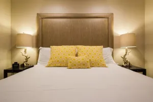 Image of Pet-Friendly Napa Oasis Near Vineyards