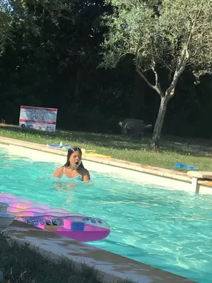 Image of Gite in paradise in the heart of nature and close to the beaches, next  the zoo