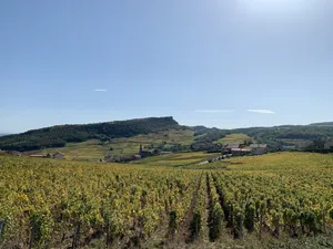 Image of Character house with view surrounded by vineyards