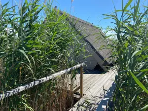 Image of Reed hut \/ pile dwelling on Lake Neusiedl