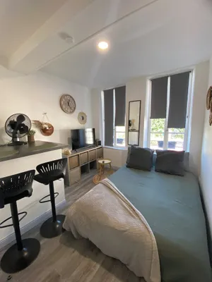 Image of L'emile Zola : Studio Cosy Hyper Centre
