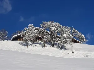 Image of Exceptional authentic chalet with spa, sauna and ski 3kms away from and close to everything.