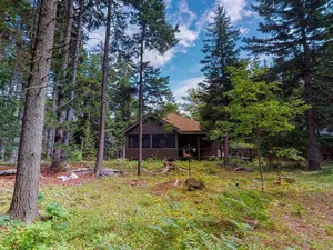 Image of Spacious cabin in a secluded spot within pine woods - close to restaurants