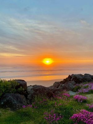 Image of Cottage by the Sea, Fall Discounts, dog friendly,fenced backyard.