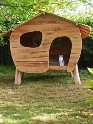 Image of Maison Landaise Avec Jardin et Piscine à Louer Juillet \/ Août