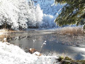 Image of Large-capacity gîte 1.5 km from the Hérisson waterfalls,