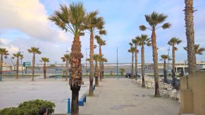 Image of Pavillon 6 pers. max- 3 bedrooms- 2 terraces- Saint Pierre La Mer with wifi box