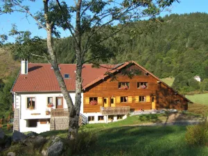 Image of Chalet style apartment, quiet environment and mountain sports nearby