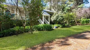 Image of Maggies Nest
