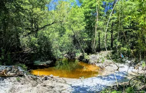 Image of Relaxing, vacation! for 1 or 11 w\/fire pit on the river!