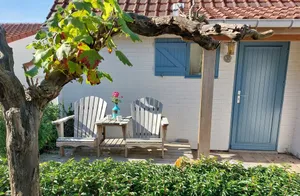 Image of Zeepolder I 45 - very cosy holiday home
