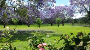 Image of Mulgoa - Country Home