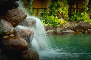 Image of Palm Royale Cairns