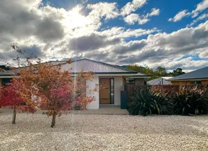 Image of New Kingston Trampoline House