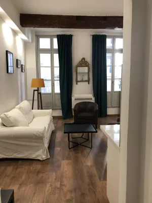 Image of Le musée Fabre, appart de charme , parking gratuit