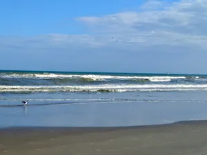 Image of Right on the Beach,  Ocean View, Modern 2BR\/2B, 2 balconies