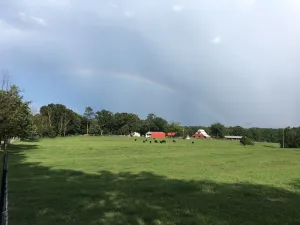 Image of Life on the farm with Pool! 1+ hour to ATL, Close to great hiking in No GA Mtns