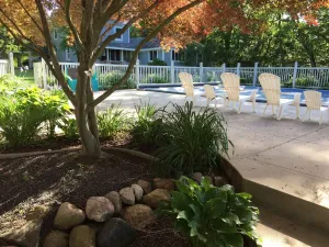 Image of Pet Friendly and peaceful setting!