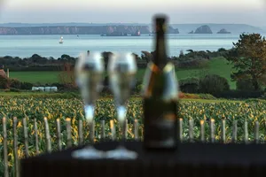 Image of 2 seaside houses, 2 spa, enclosed property, luxury, Finistère