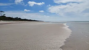 Image of Secluded beach, native bush--Clearwater Haven inc towels and linen