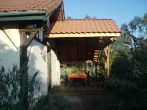Image of Petit tachette