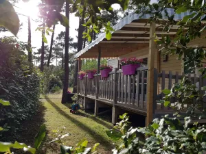 Image of CAMPING BONNE ANSE PLAGE