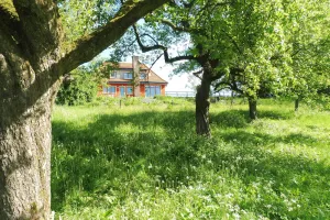 Image of Small villa in the wild garden