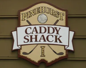 Image of Golfers getaway - putting green, billiards, bar, arcade , poker table and more