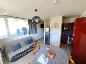 Image of APPARTEMENT AVEC TERRASSE ET VUE SUR LE SANCY 301 GH