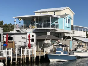 Image of *Snowbirds Paradise*
