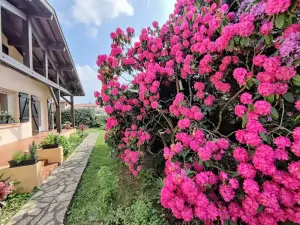Image of Family Villa for 8 people