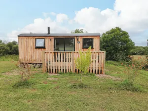 Image of THE BUMBLEBEE, pet friendly, with open fire in Lamphey