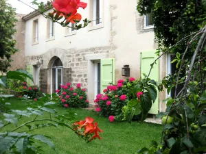 Image of Spacious garden center of Pezenas