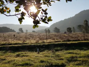 Image of Charming Cottage \/ Guest House 2 miles from Downtown Napa