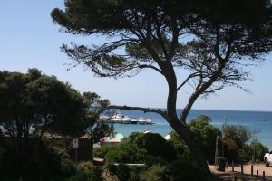 Image of MORNINGTON BEACH APARTMENT  #5 : directly opposite the beach with great views.