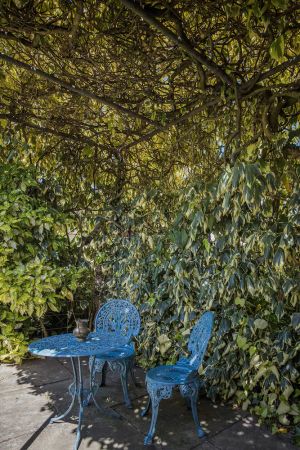 Image of Lucy's Cottage in beautiful Kyneton