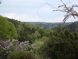 Image of Very pleasant well equipped gîte for 12 in the heart of the northern Vosges