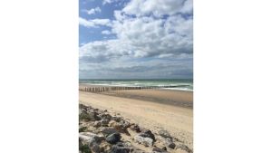 Image of With a breathtaking view of the dunes, come and relax!