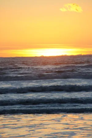 Image of Carefree Days at The Beach