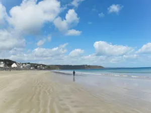 Image of Manas 22 (PLX108)