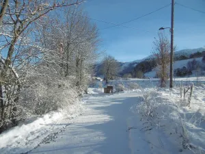 Image of GRESSE en VERCORS resort winter (skiing)\/ summer(swimming pool and tennis) wk & wk-end