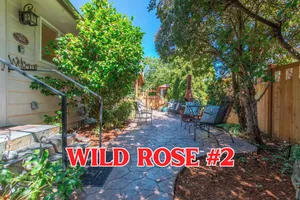 Image of SQ Ramblin Rose 3