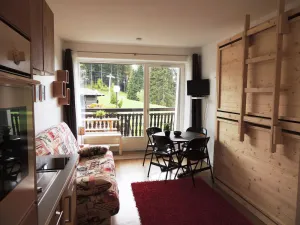 Image of Appartement skis aux pieds avec piscine, rénové et confortable - FR-1-598-18