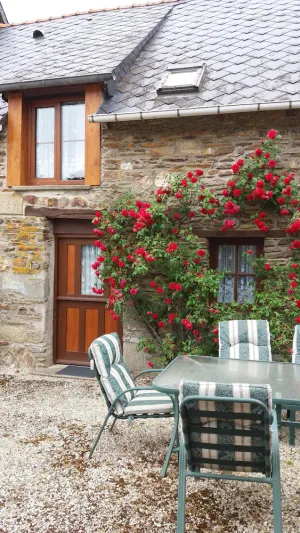Image of Rose gite Le Cosquer St Connec