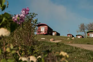 Image of Come and recharge your batteries in the heart of the Gers