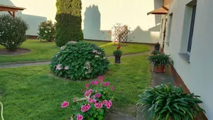 Image of Ferienwohnungen Peters