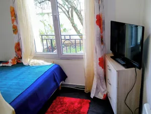Image of Apartment with garden near Maisons-Alfort veterinary school, metro 8