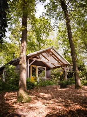 Image of Cozy forest cottage under the oak trees